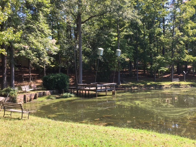 1031 Mt Paran Road Lizella, GA 31052 - Photo 10 of 23 a view of a swimming pool with a table and chairs