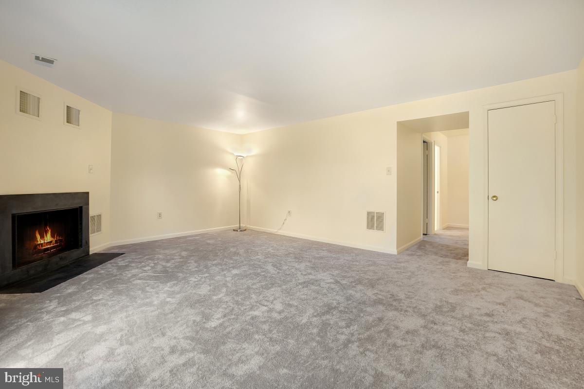 9147 September Lane Silver Spring, MD 20901 - Photo 21 of 31 LL Rec Room