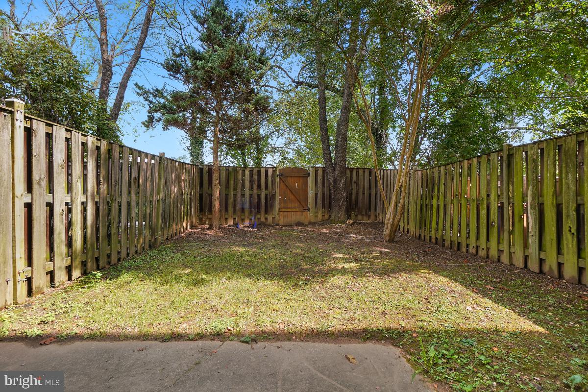 9147 September Lane Silver Spring, MD 20901 - Photo 25 of 31 Backyard