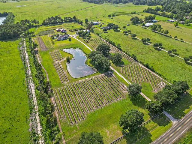 a view of a garden with an outdoor space and seating area