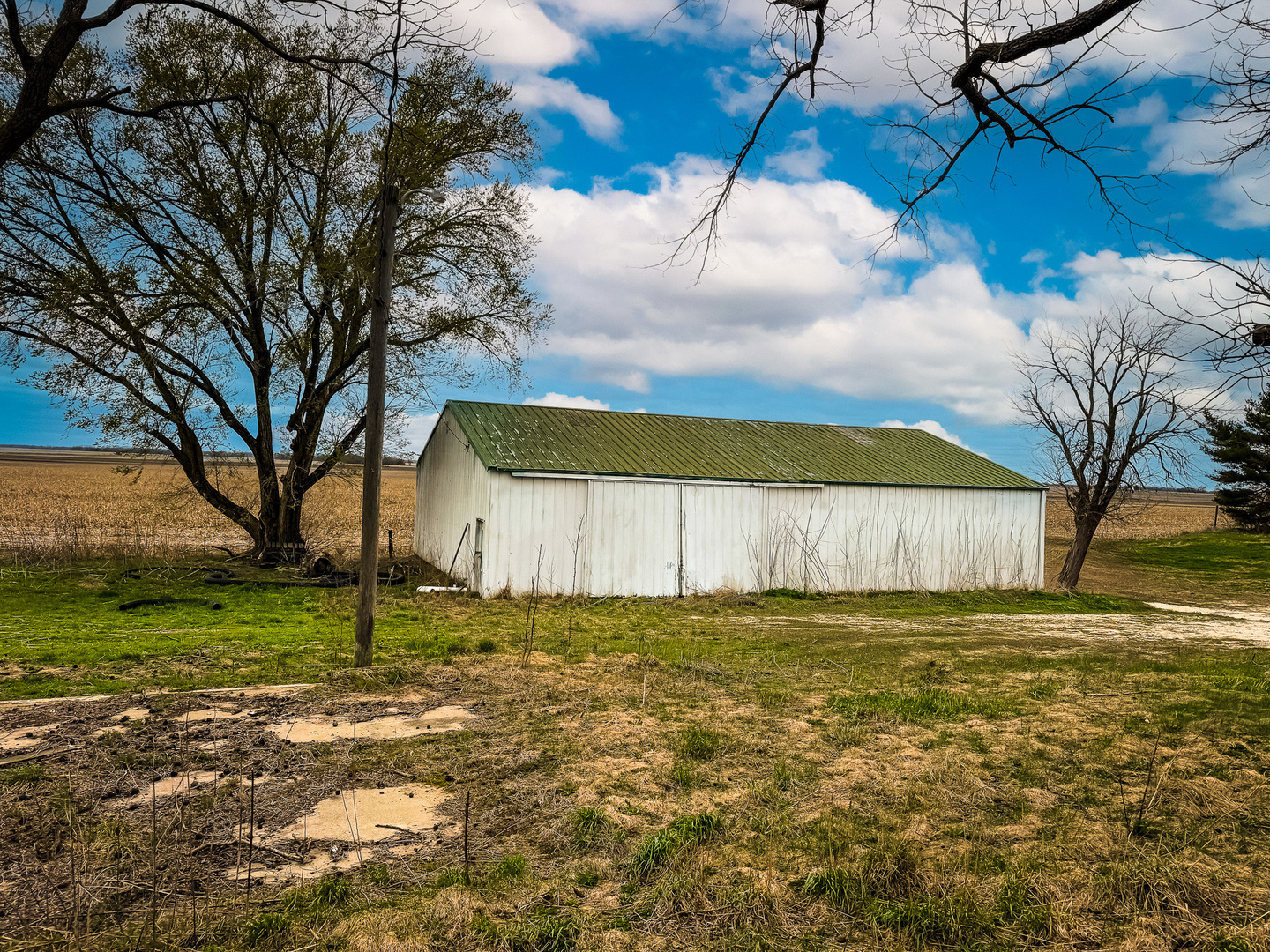 2571 East 1300 North Road Sheldon, IL 60966 - Photo 20 of 20 a view of a yard with an tree