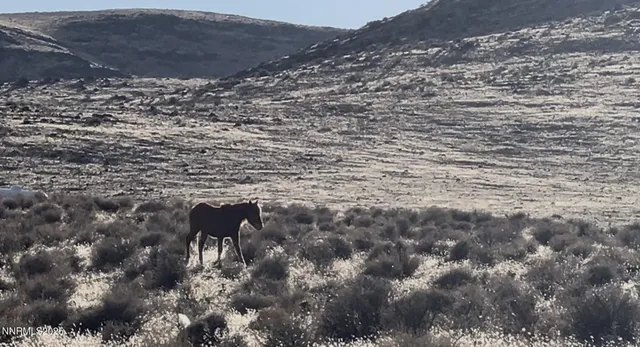 a view of outdoor space and tree