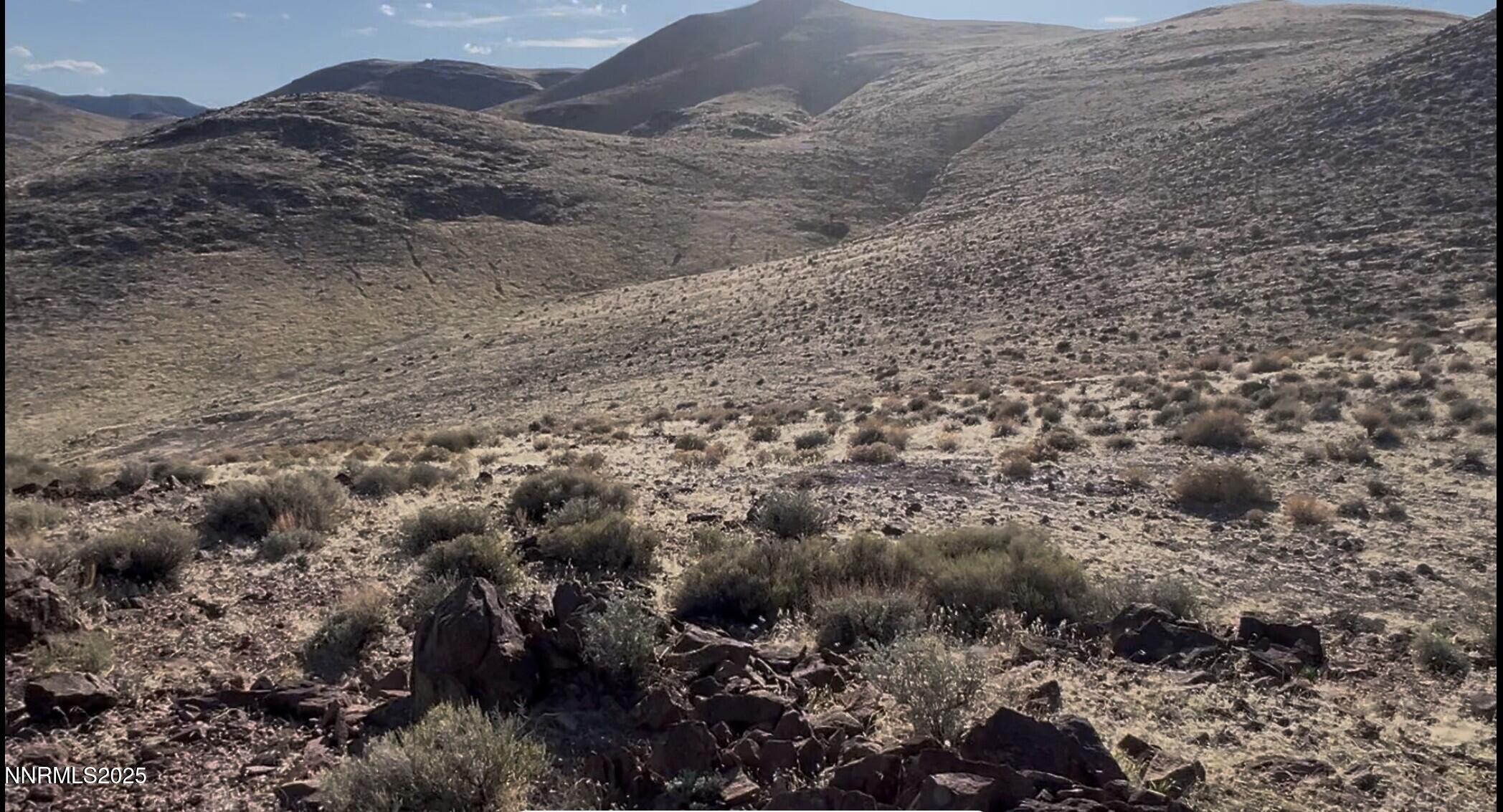 9325 Western Way Stagecoach, NV 89429 - Photo 7 of 11 a view of a dry field with trees
