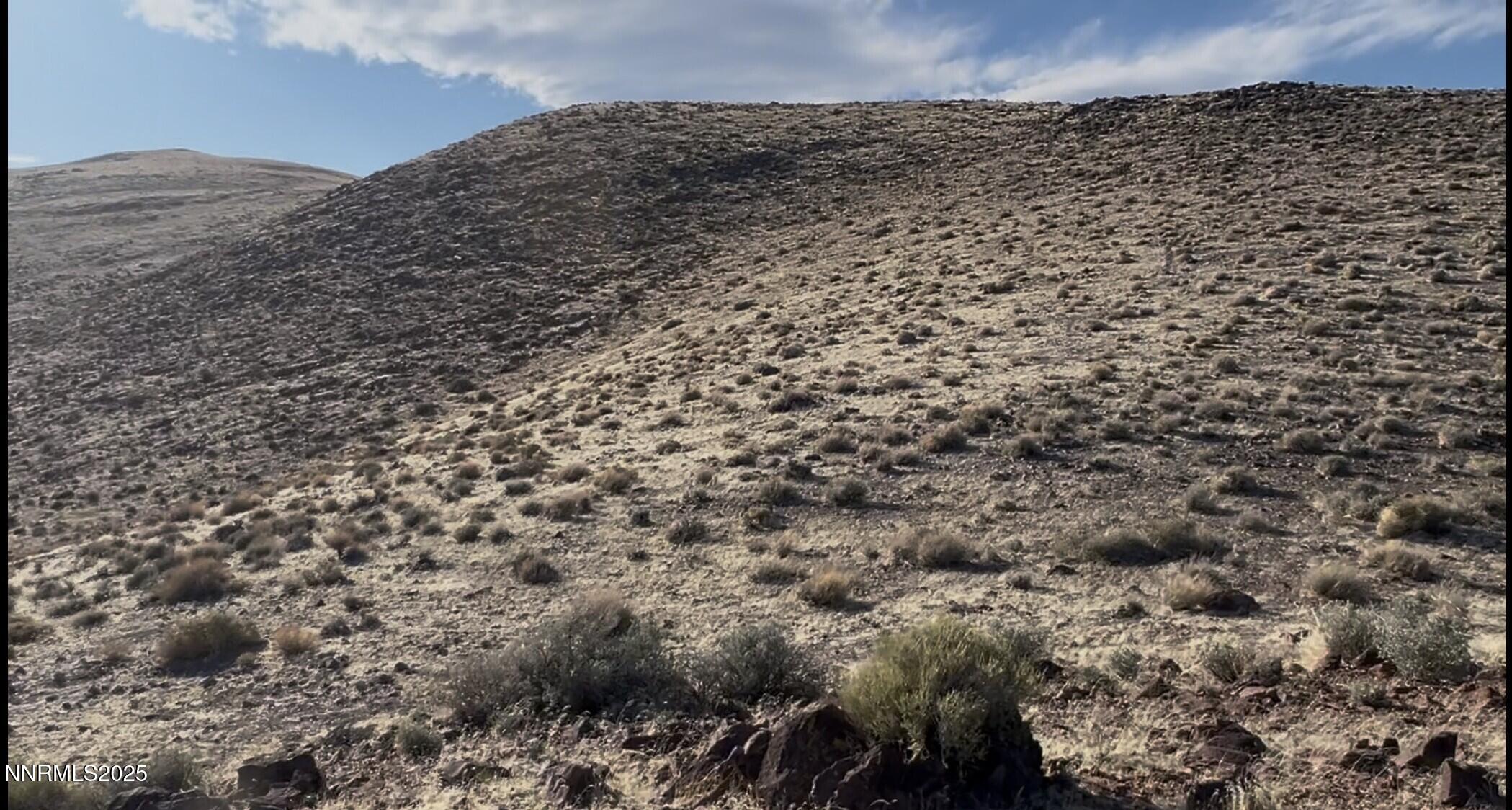 9325 Western Way Stagecoach, NV 89429 - Photo 8 of 11 a view of a dry yard