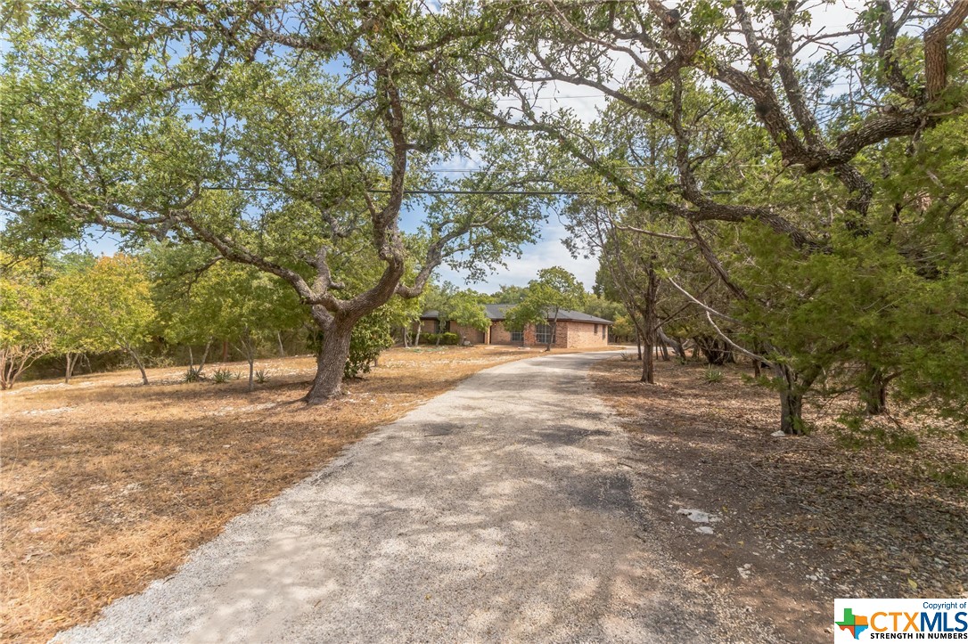 a view of outdoor space with trees
