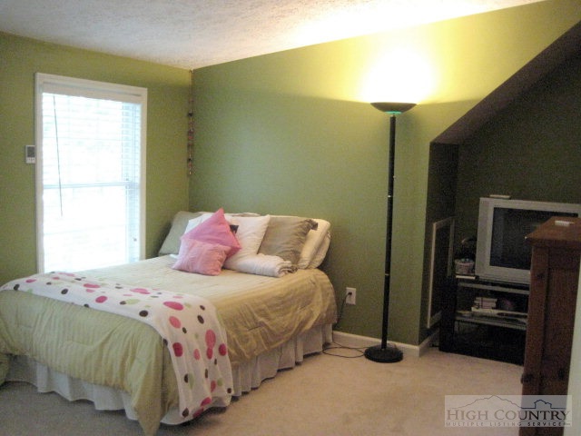 159 Deer Run Road Deep Gap, NC 28618 - Photo 3 of 13