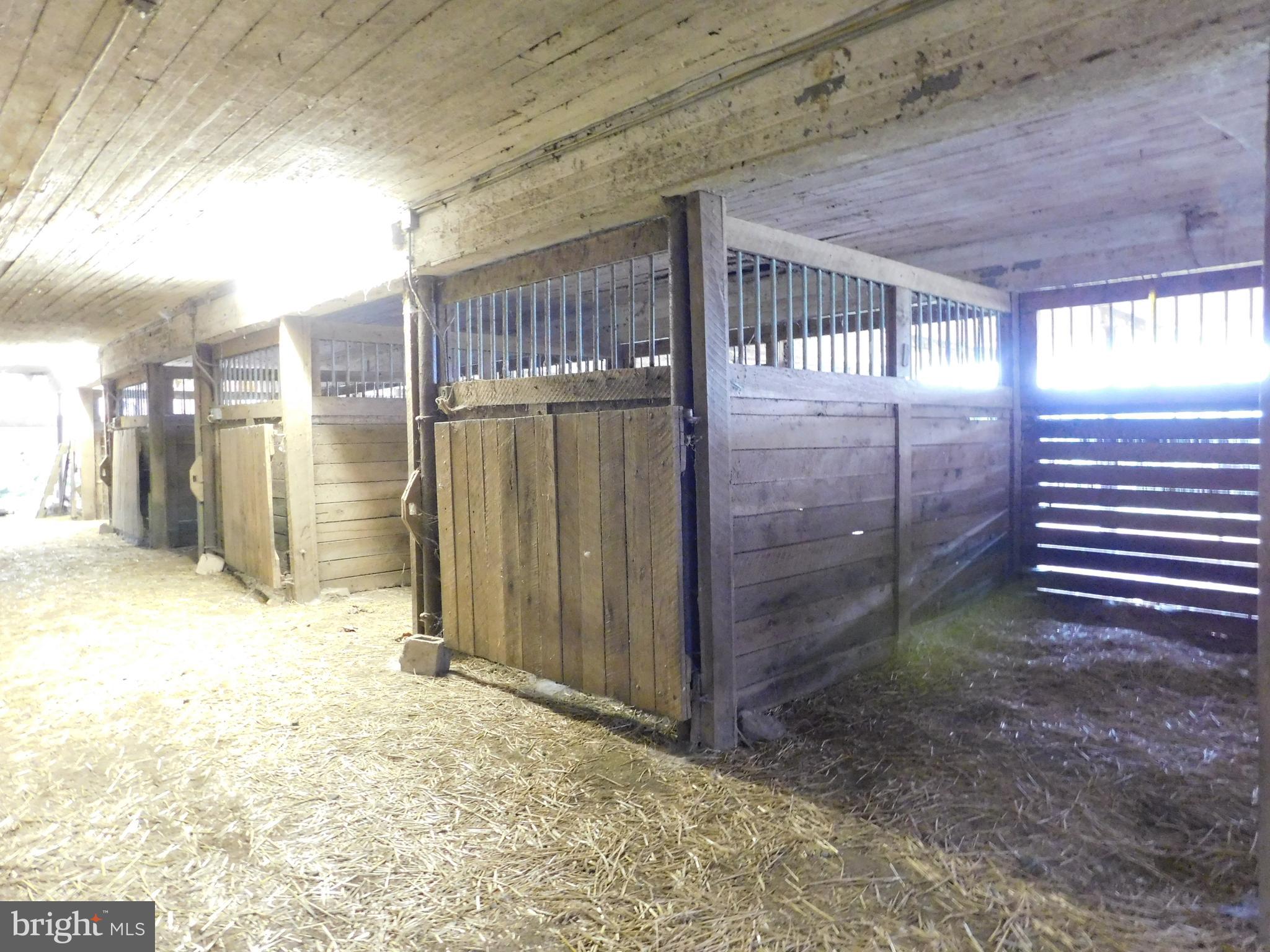 320 Connelly Road Rising Sun, MD 21911 - Photo 11 of 17 Stalls in Lower Bank Barn