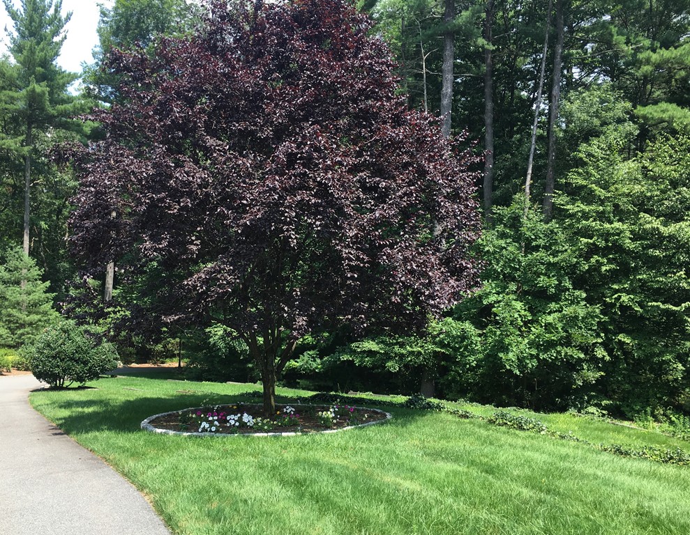 41 Brown Road Harvard, MA 01451 - Photo 9 of 30