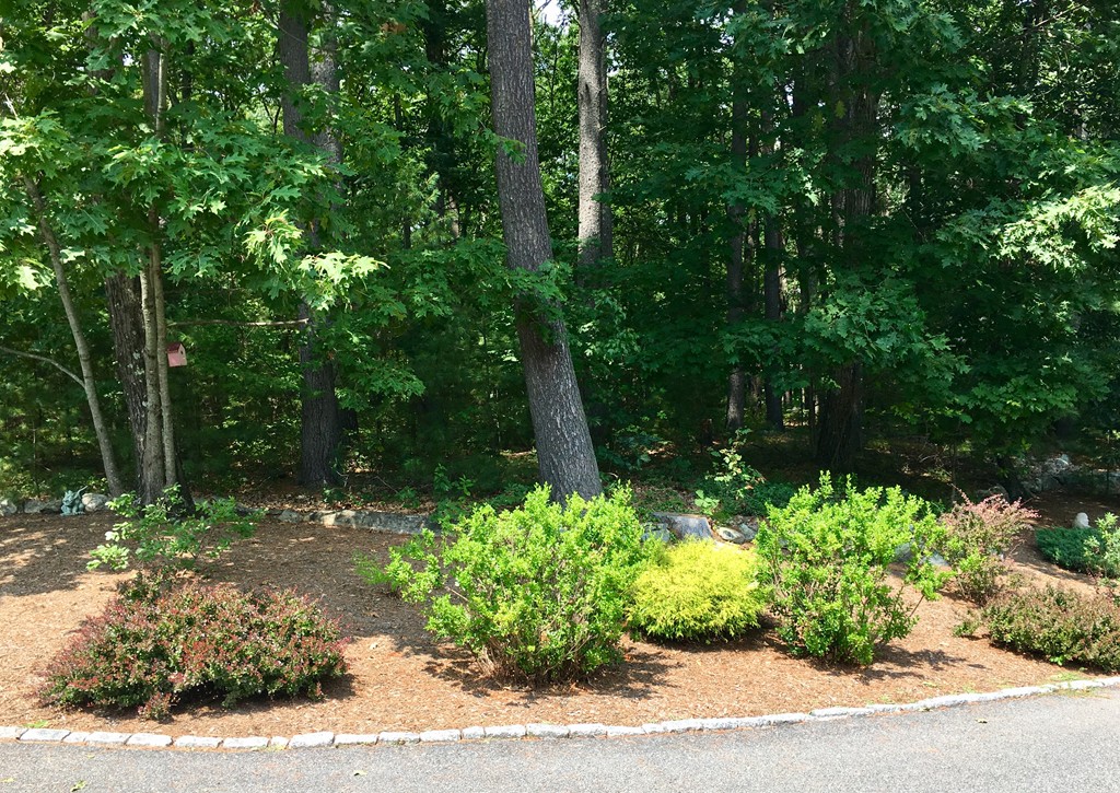 41 Brown Road Harvard, MA 01451 - Photo 10 of 30