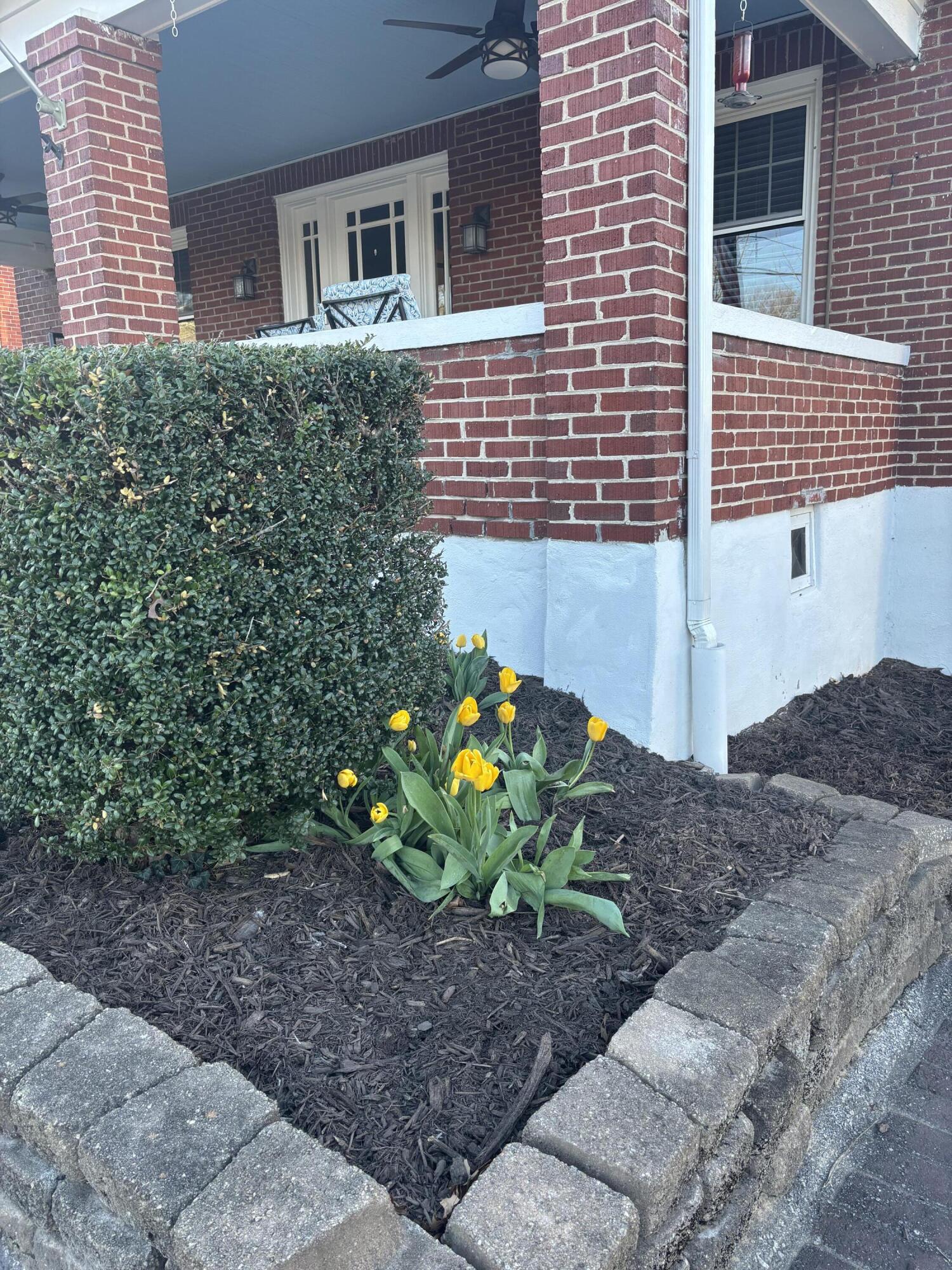 2529 Oregon Avenue Southwest Roanoke, VA 24015 - Photo 4 of 40 IMG_7185