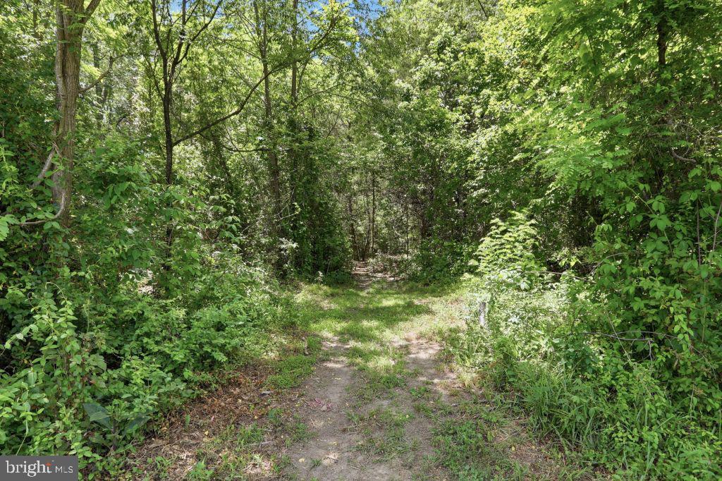 1511 Boliver Road Fort Valley, VA 22652 - Photo 46 of 65