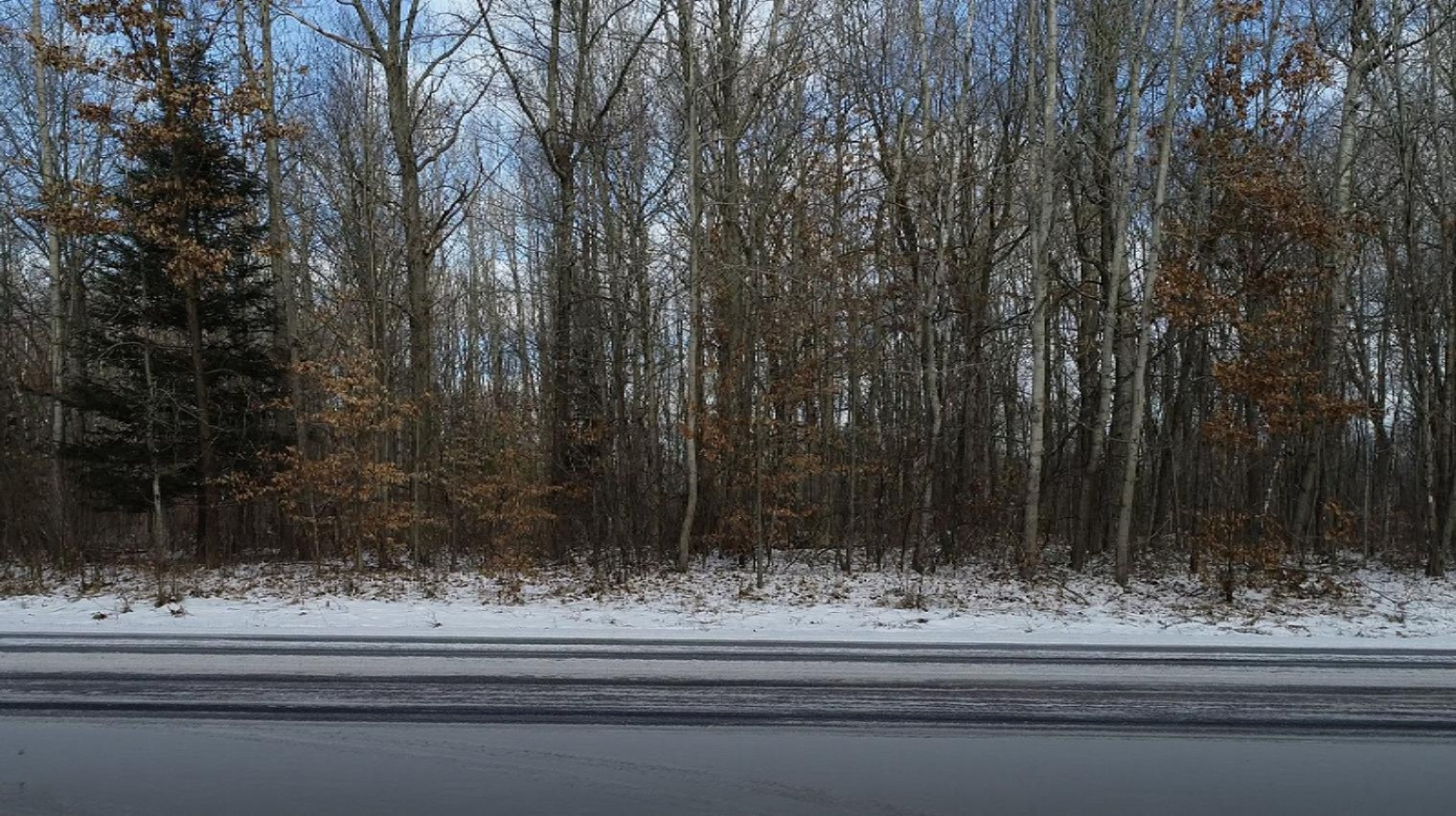 0 Madison Road Barryton, MI 49305 - Photo 1 of 11 Road_level