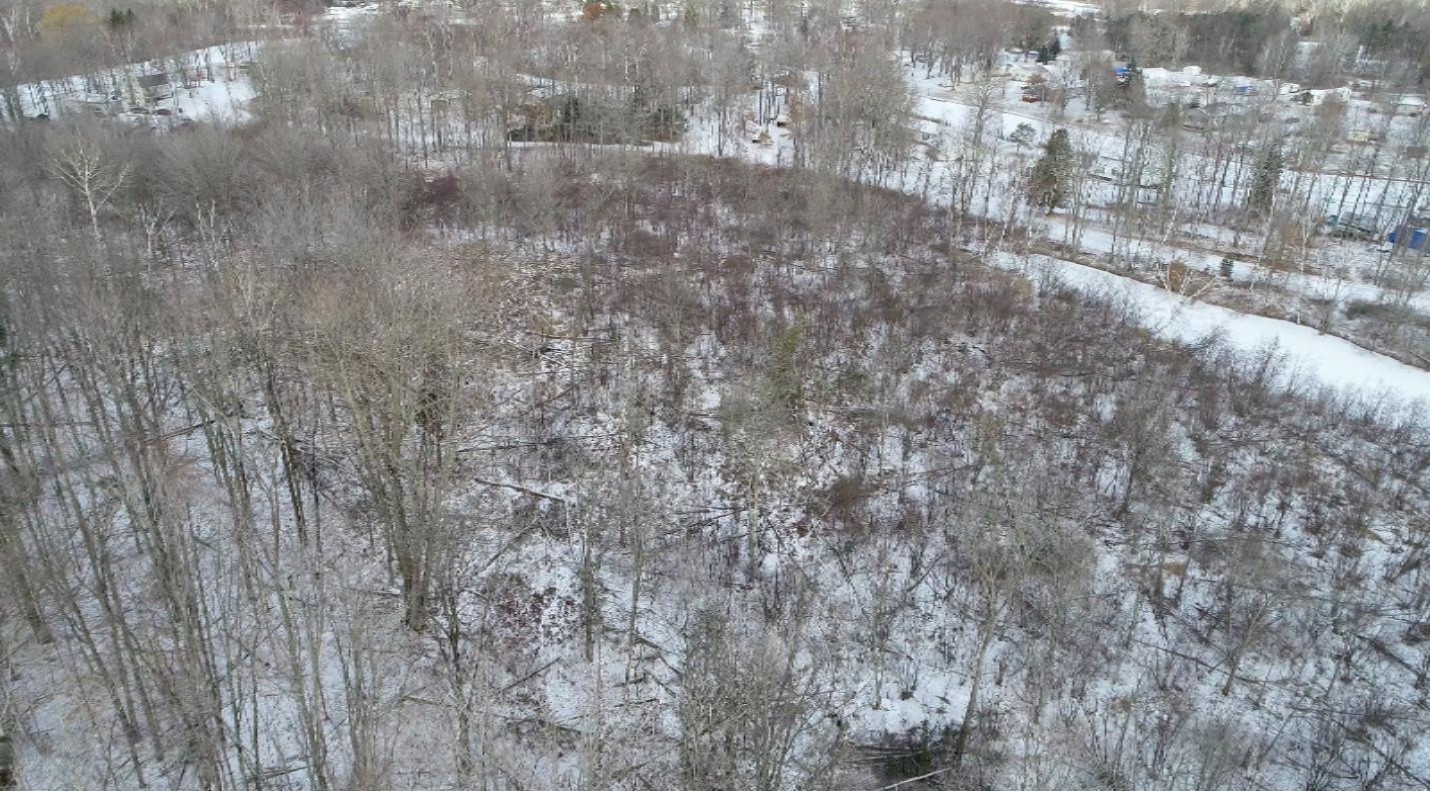 0 Madison Road Barryton, MI 49305 - Photo 2 of 11 Screen Shot 2019-01-18 at 6.34.33 PM