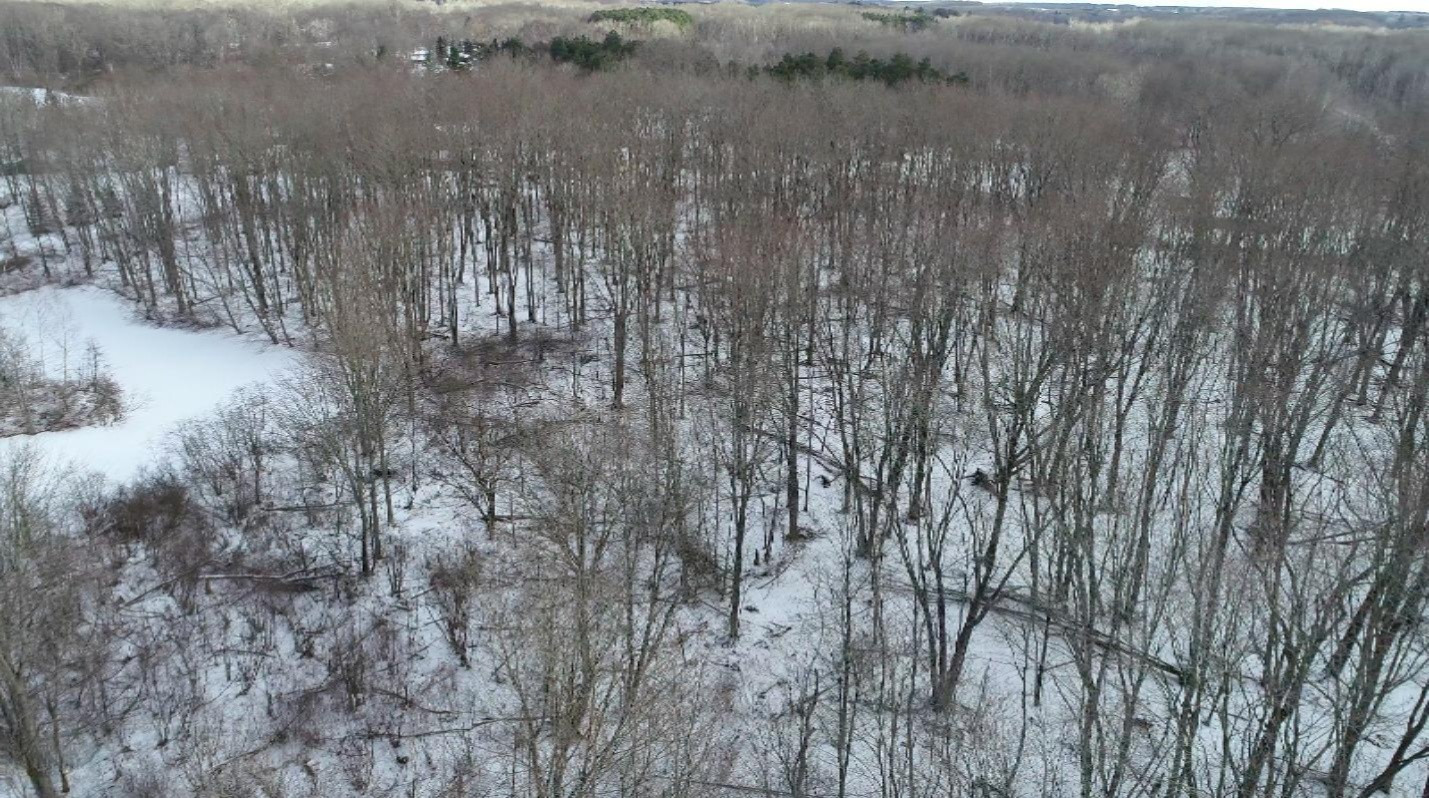 0 Madison Road Barryton, MI 49305 - Photo 3 of 11 Screen Shot 2019-01-18 at 6.34.02 PM