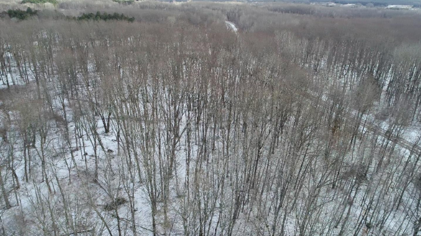 0 Madison Road Barryton, MI 49305 - Photo 4 of 11 Screen Shot 2019-01-18 at 6.33.41 PM