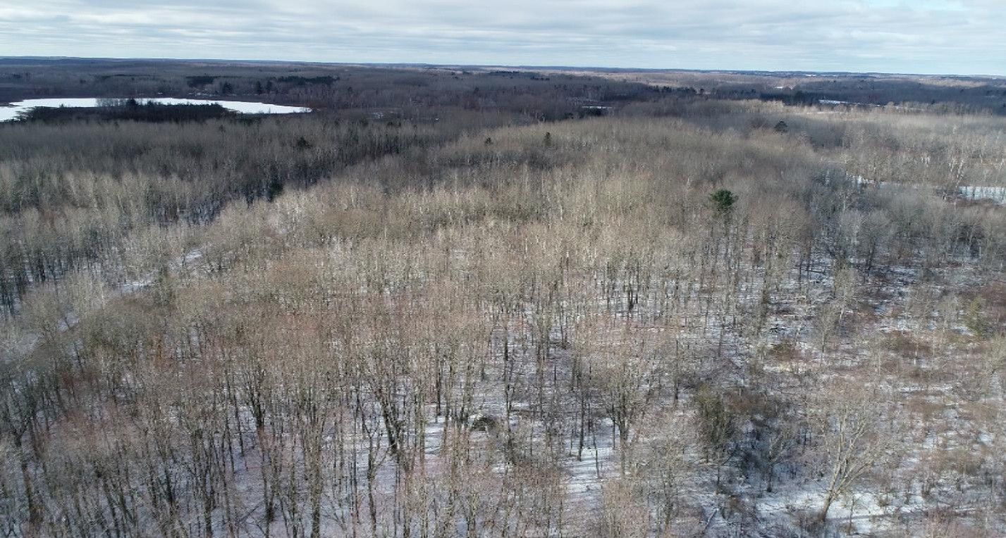 0 Madison Road Barryton, MI 49305 - Photo 5 of 11 Screen Shot 2019-01-18 at 6.32.47 PM