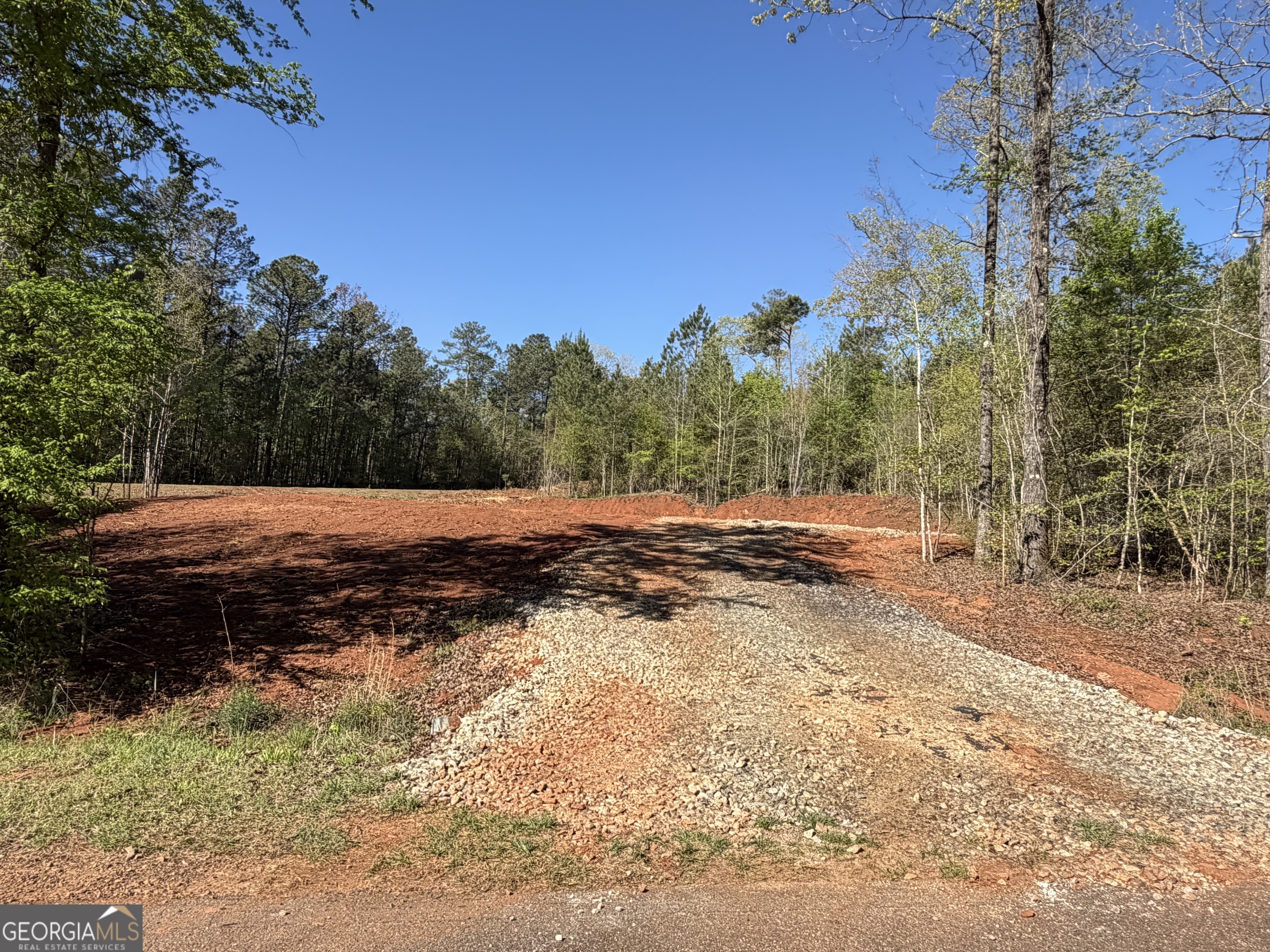 0 Andrews Chapel Road Thomaston, GA 30286 - Photo 1 of 1 Gallery Image 1
