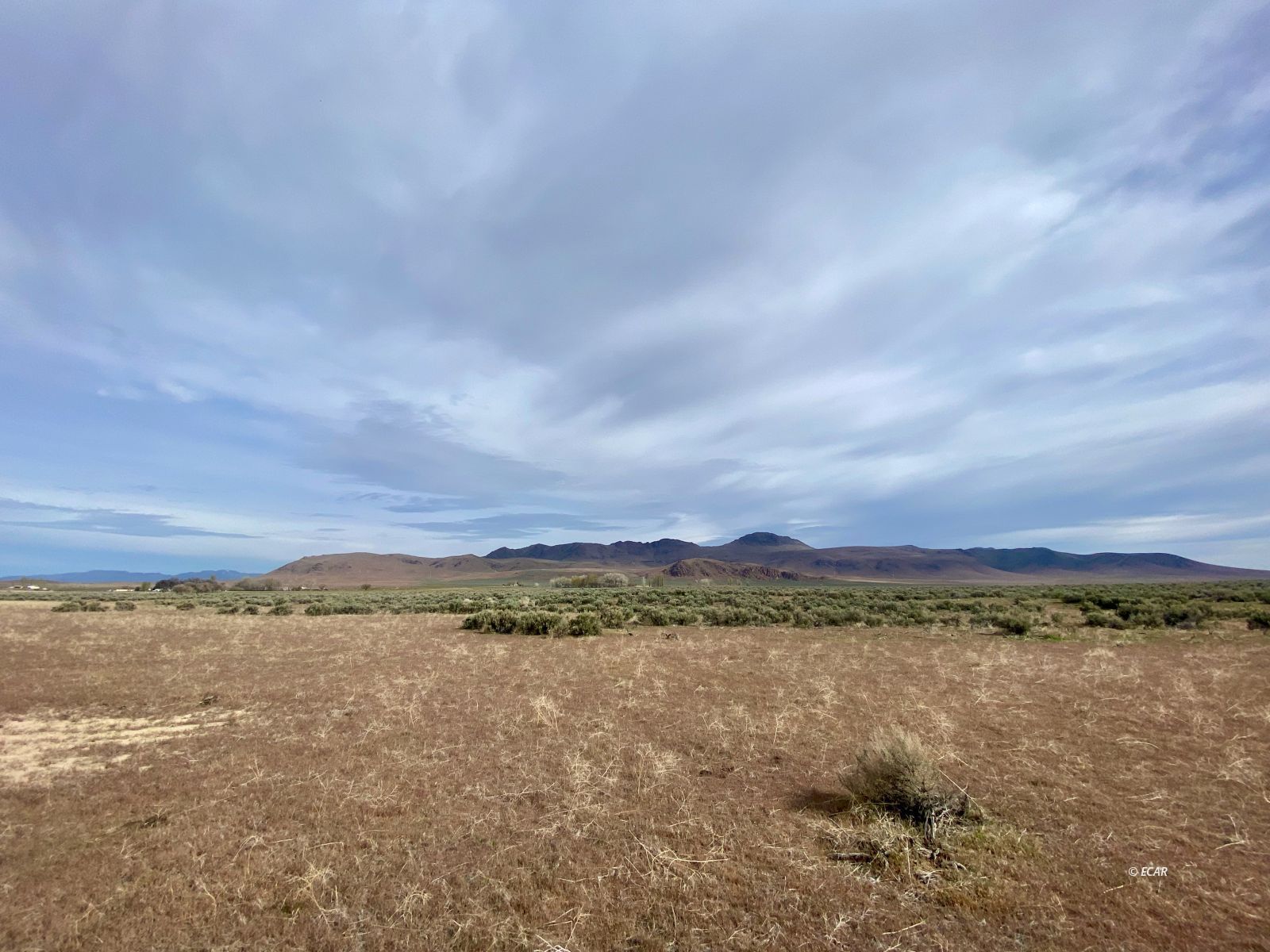 Izzenhood Ranch/ Gap Road Battle Mountain, NV 89820 - Photo 15 of 18