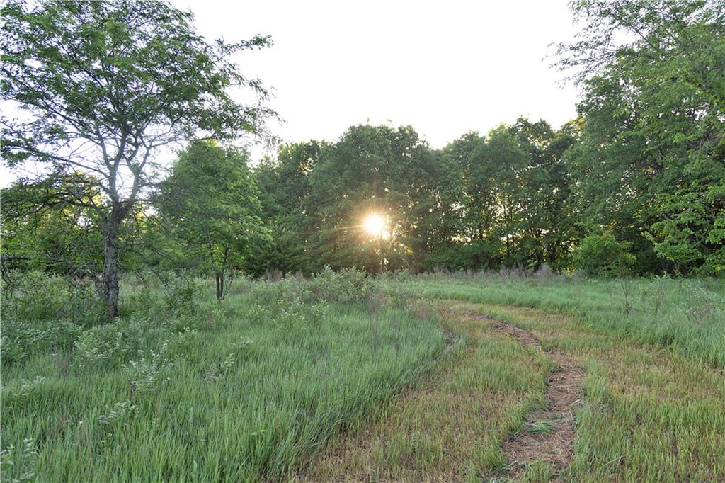 Murray Road Polo, MO 64671 - Photo 2 of 39