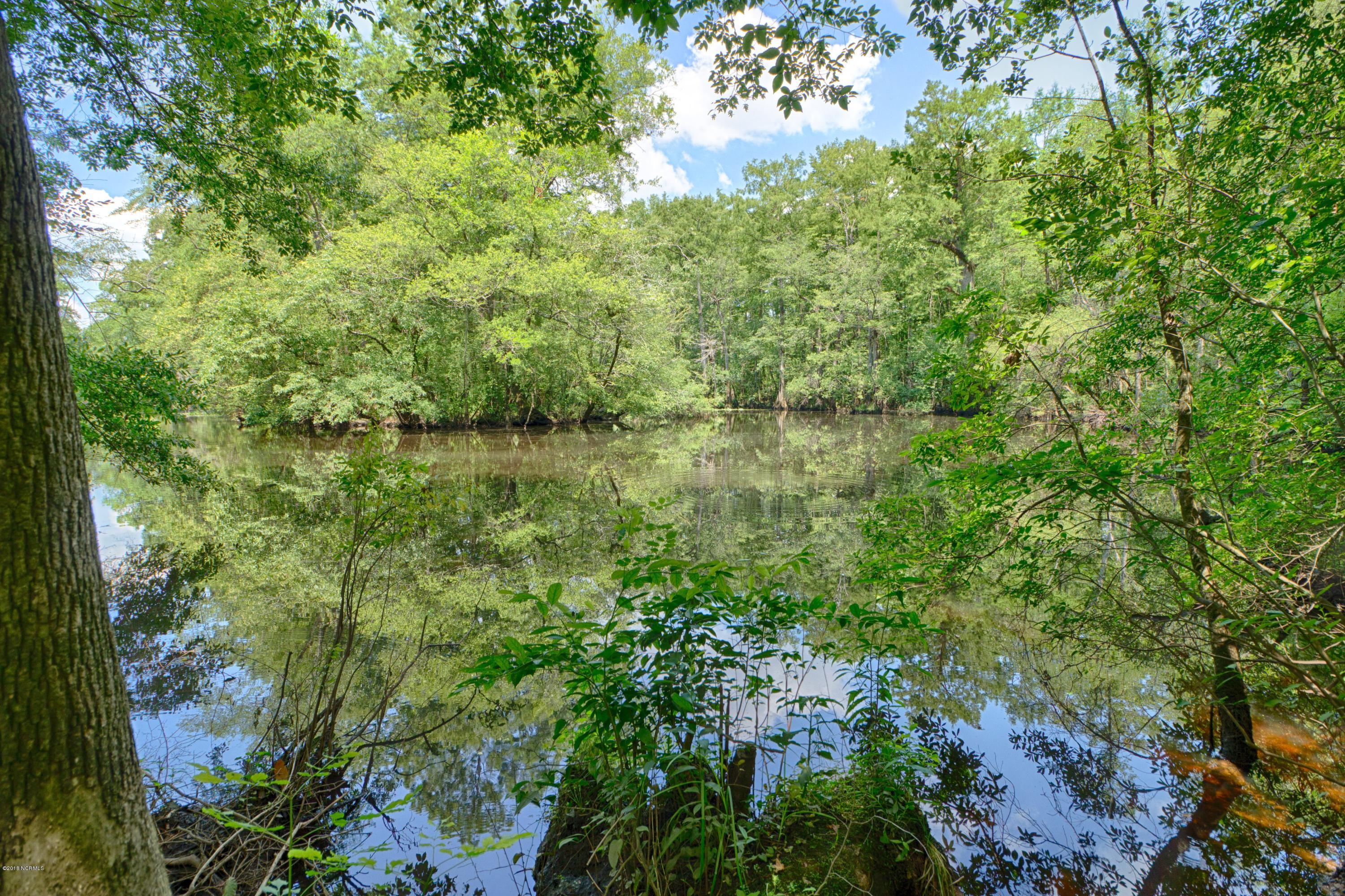 210 Raccoon Run Washington, NC 27889 - Photo 41 of 41 041 Waterfront View