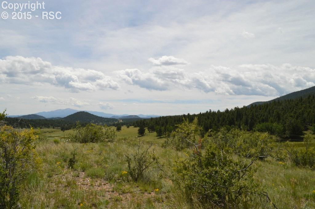 811 Pulver Road Lake George, CO 80827 - Photo 1 of 5 Gallery Image 1