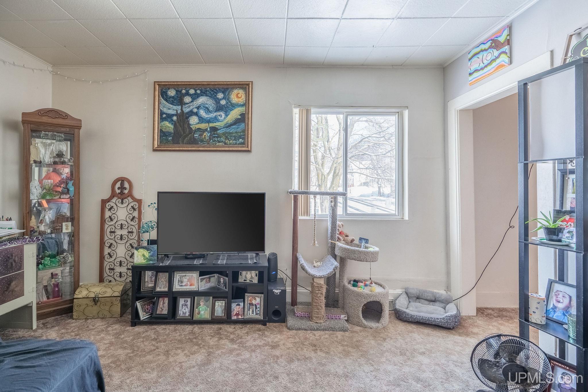 801 North 3rd Street Ishpeming, MI 49849 - Photo 4 of 17 Gallery Image 4