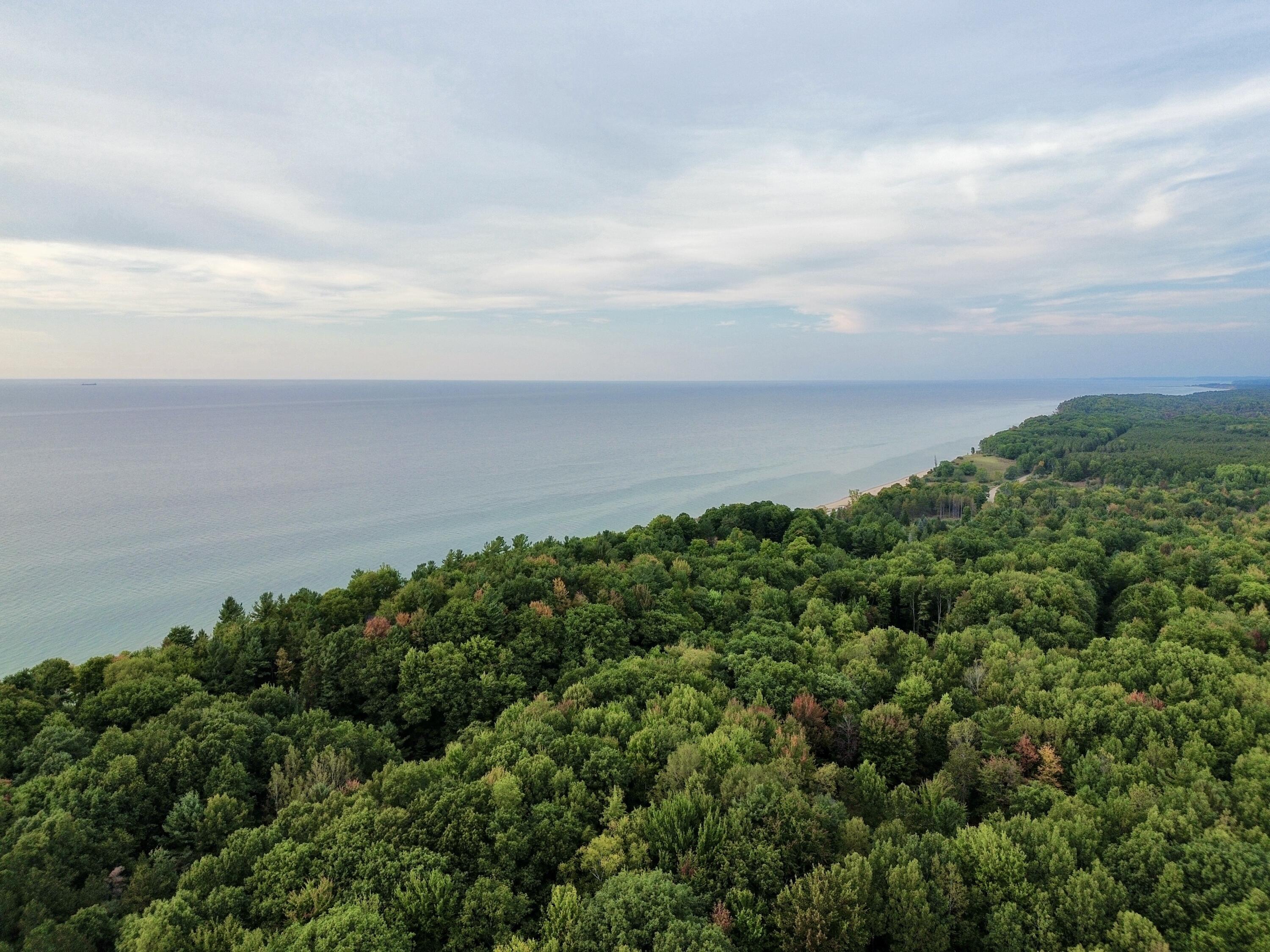 10650 Old Freesoil Road Manistee, MI 49660 - Photo 19 of 22 dji_fly_20240919_184206_79_1726785750797