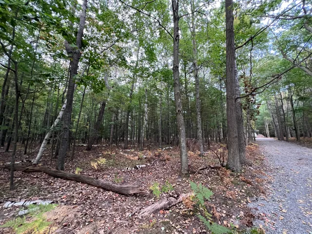 $119,900 | 10650 Old Freesoil Road, Manistee, MI 49660