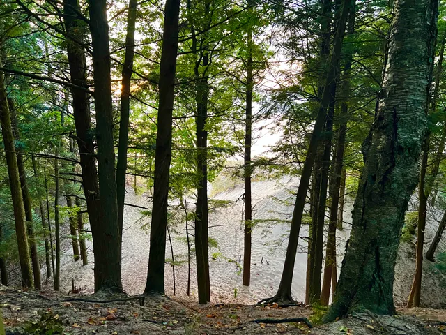 $119,900 | 10650 Old Freesoil Road, Manistee, MI 49660