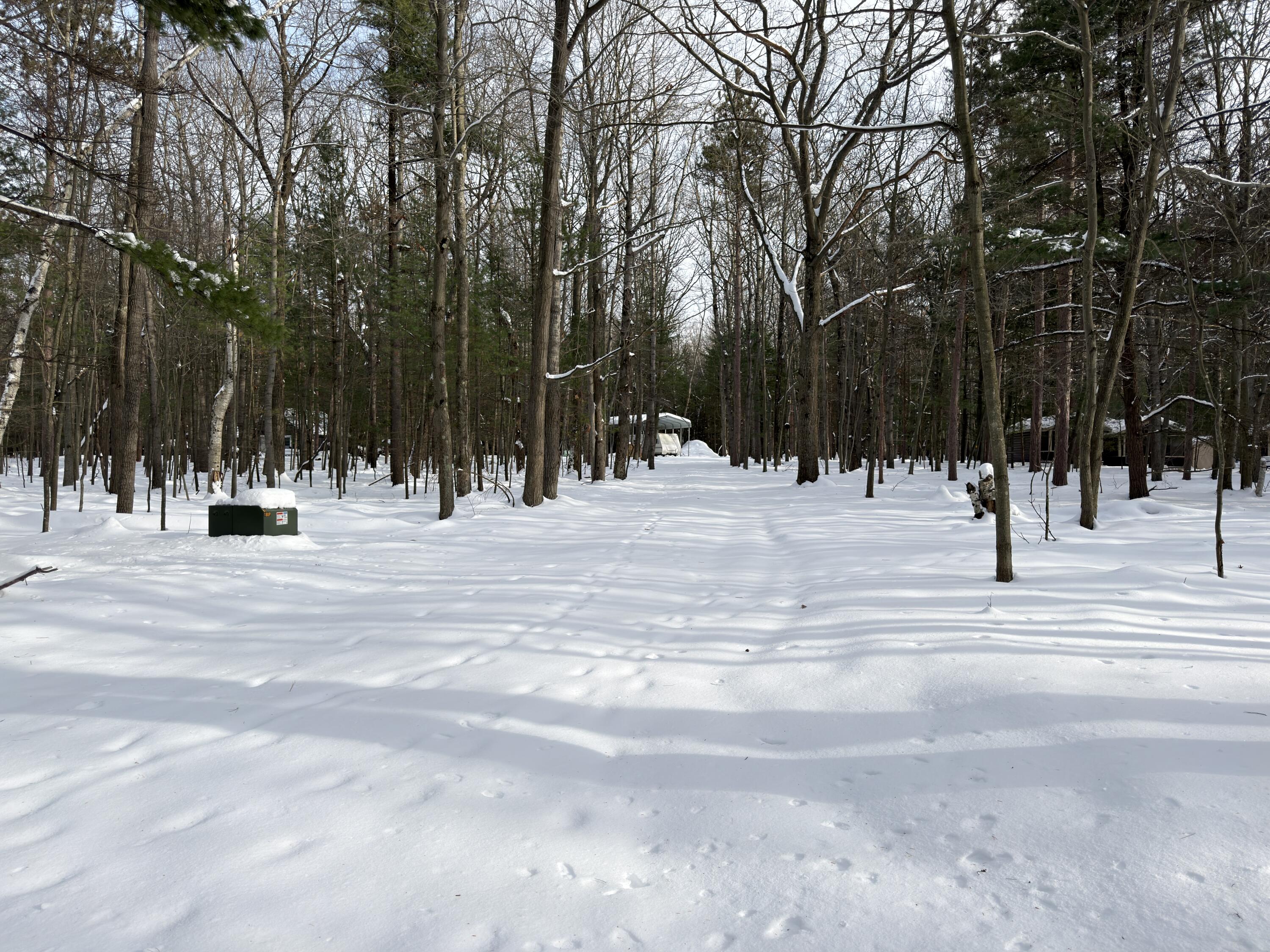 10650 Old Freesoil Road Manistee, MI 49660 - Photo 3 of 22 IMG_2323