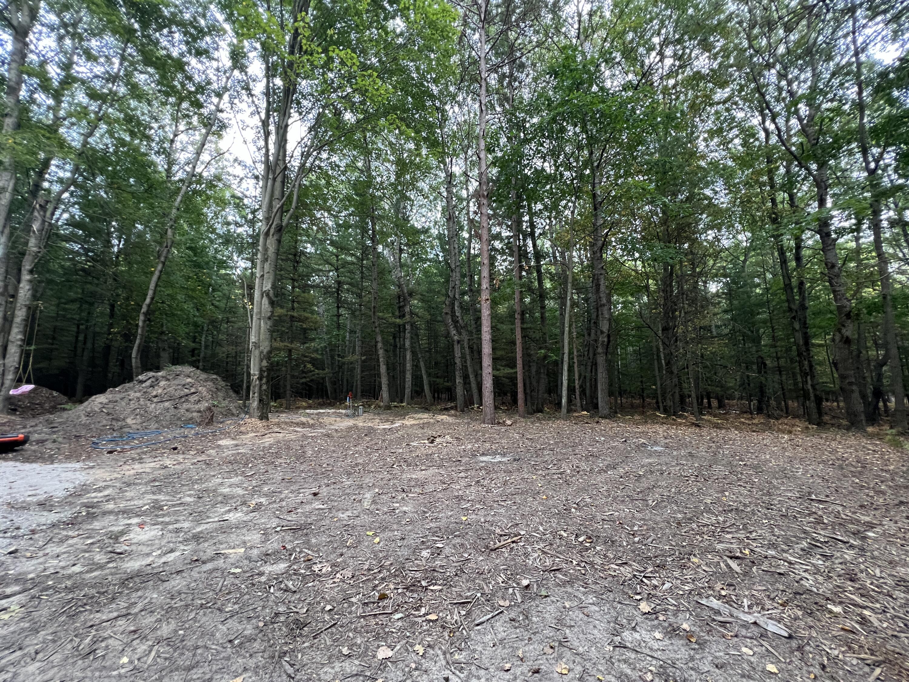 10650 Old Freesoil Road Manistee, MI 49660 - Photo 4 of 22 IMG_7452