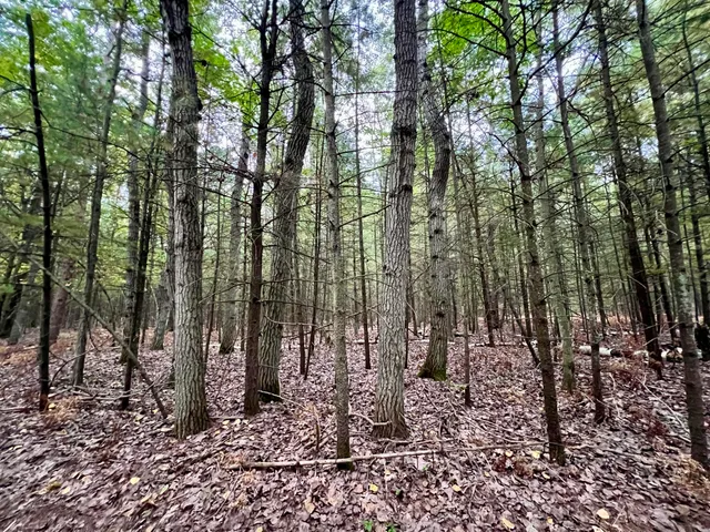 $119,900 | 10650 Old Freesoil Road, Manistee, MI 49660