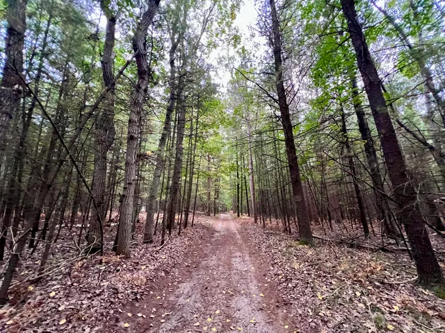 $119,900 | 10650 Old Freesoil Road, Manistee, MI 49660