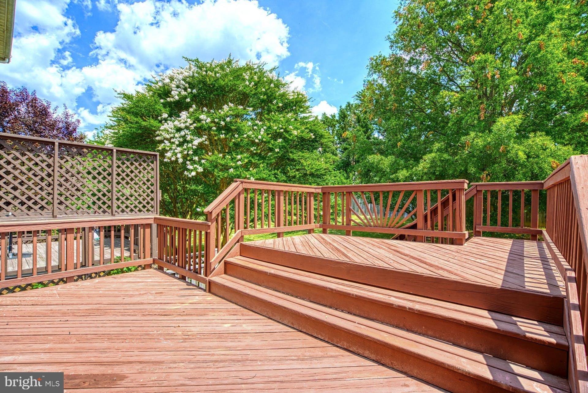6003 Bingley Road Alexandria, VA 22315 - Photo 28 of 33 Gallery Image 28