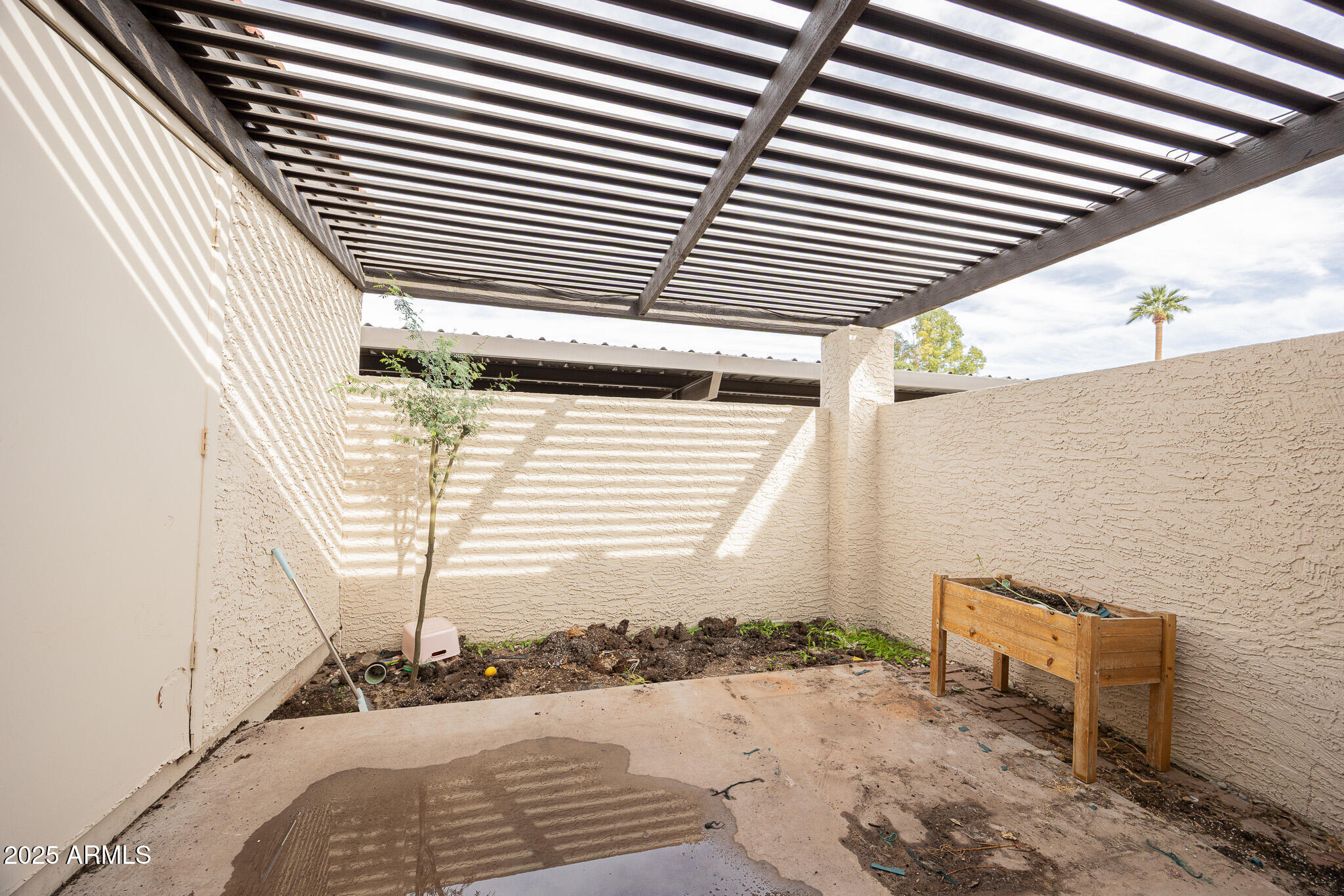 2127 East 10th Street, Unit 4 Tempe, AZ 85281 - Photo 19 of 21 a view of a backyard of a house