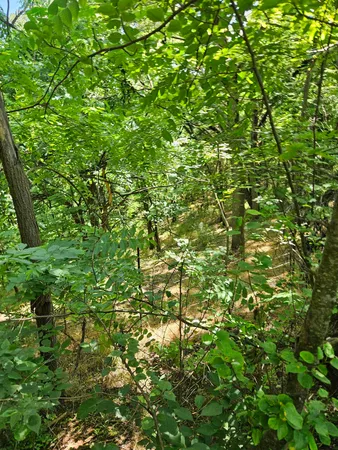 $93,000 | 3-acres 3-acres Mossy Creek Rd Mount, Mount Solon, VA 22843