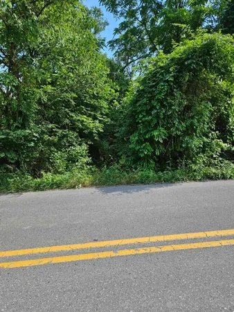 $93,000 | 3-acres 3-acres Mossy Creek Rd Mount, Mount Solon, VA 22843