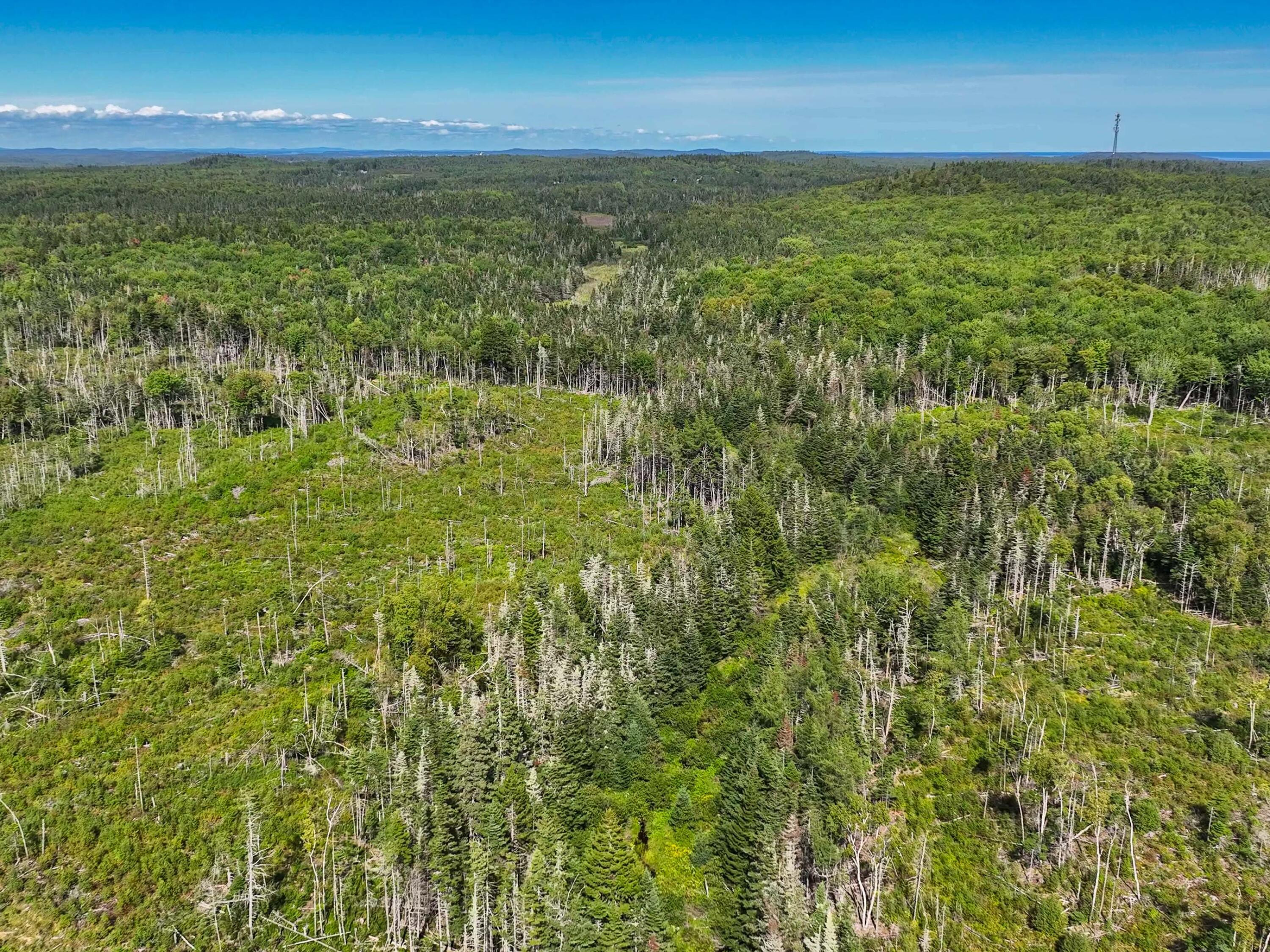2 Map Lubec, ME 04652 - Photo 76 of 79 530+- acres Trescott Twp Maine (76 of 80