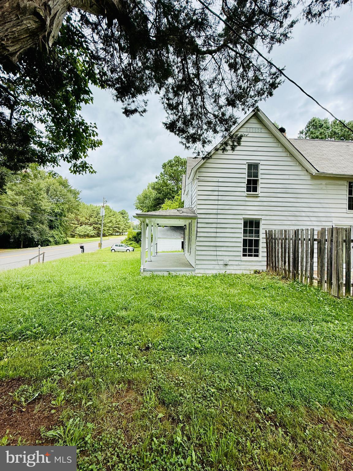1031 MacDonald Road Scottsburg, VA 24589 - Photo 7 of 43 a view of a backyard with plants and large tree