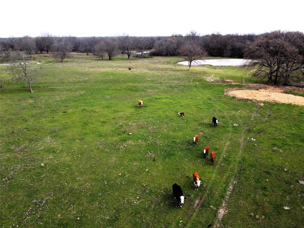 224 Commerce Tx 75428  