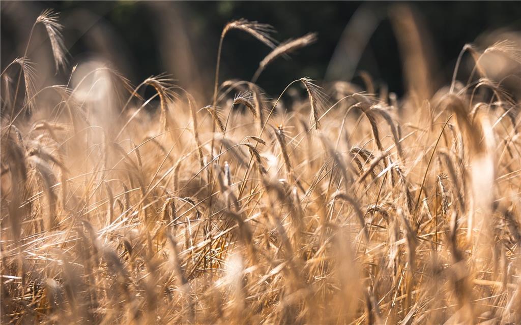 0 Knobby Creek Road Edwards, MO 65326 - Photo 11 of 63