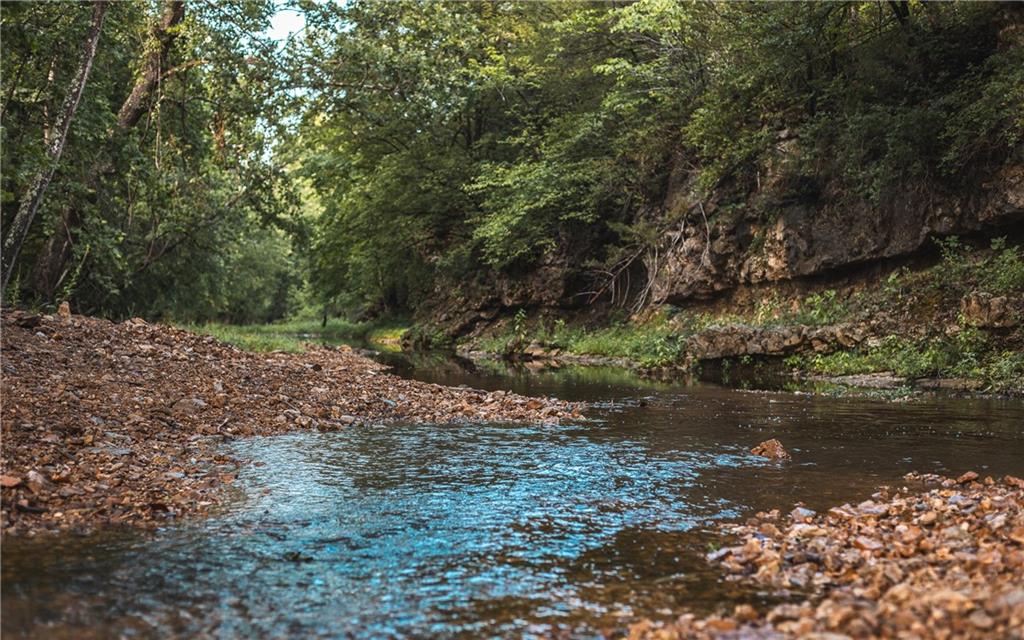 0 Knobby Creek Road Edwards, MO 65326 - Photo 14 of 63