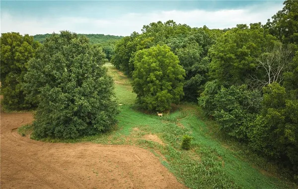 $1,292,000 | 0 Knobby Creek Road, Edwards, MO 65326