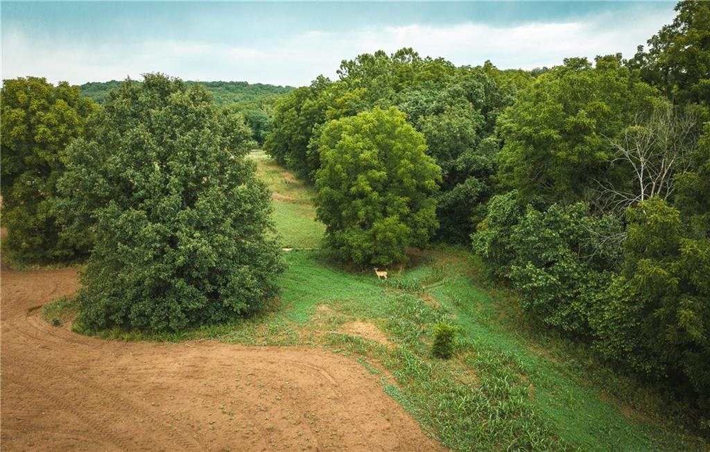 0 Knobby Creek Road Edwards, MO 65326 - Photo 2 of 63