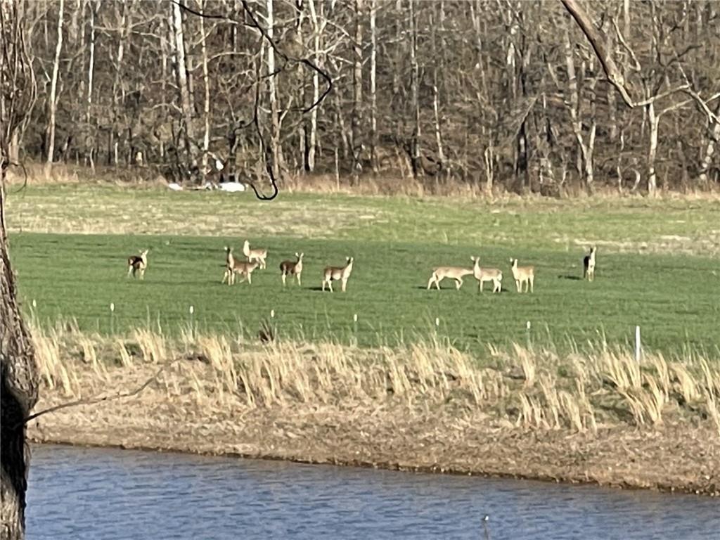 0 Knobby Creek Road Edwards, MO 65326 - Photo 36 of 63