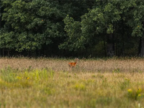 $1,292,000 | 0 Knobby Creek Road, Edwards, MO 65326