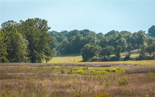 $1,292,000 | 0 Knobby Creek Road, Edwards, MO 65326