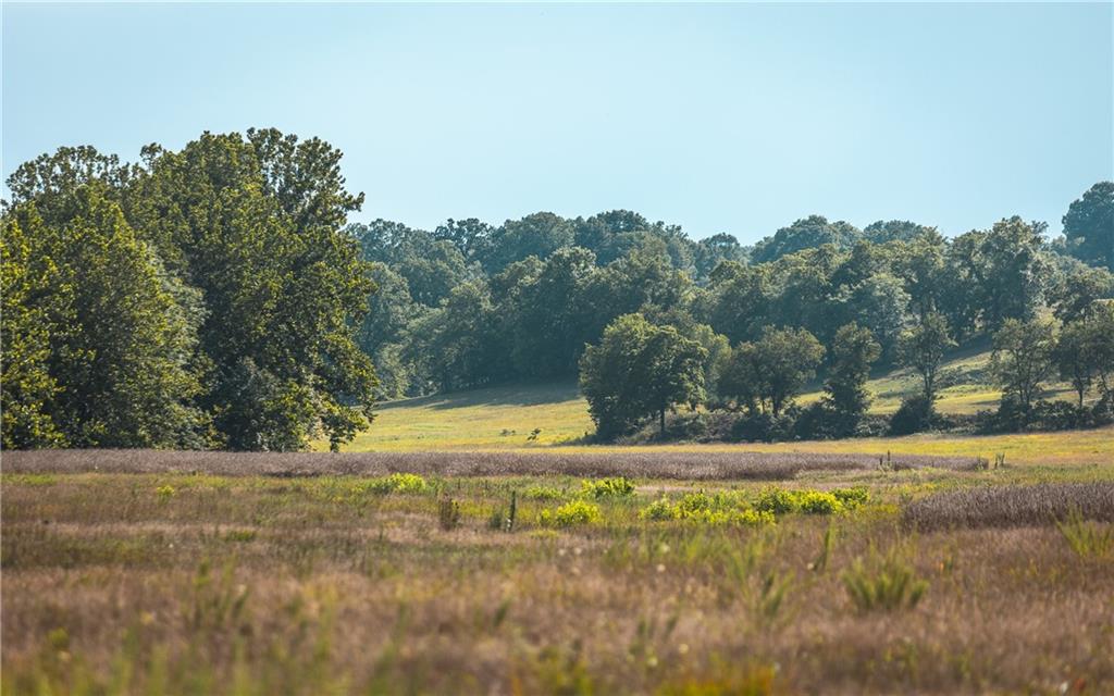 0 Knobby Creek Road Edwards, MO 65326 - Photo 39 of 63