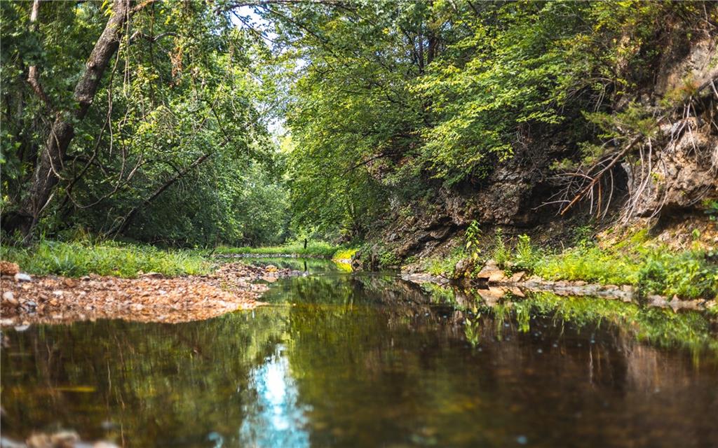 0 Knobby Creek Road Edwards, MO 65326 - Photo 40 of 63