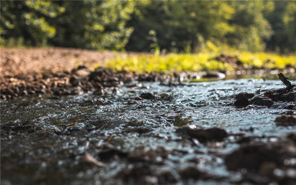 0 Knobby Creek Road Edwards, MO 65326 - Photo 41 of 63